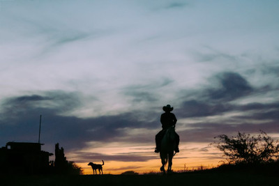 Man riding a horse at dawn with a dog beside him